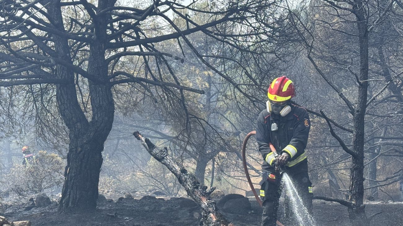Europa arde y se asfixia: el calor extremo y los incendios forestales golpean a varios países