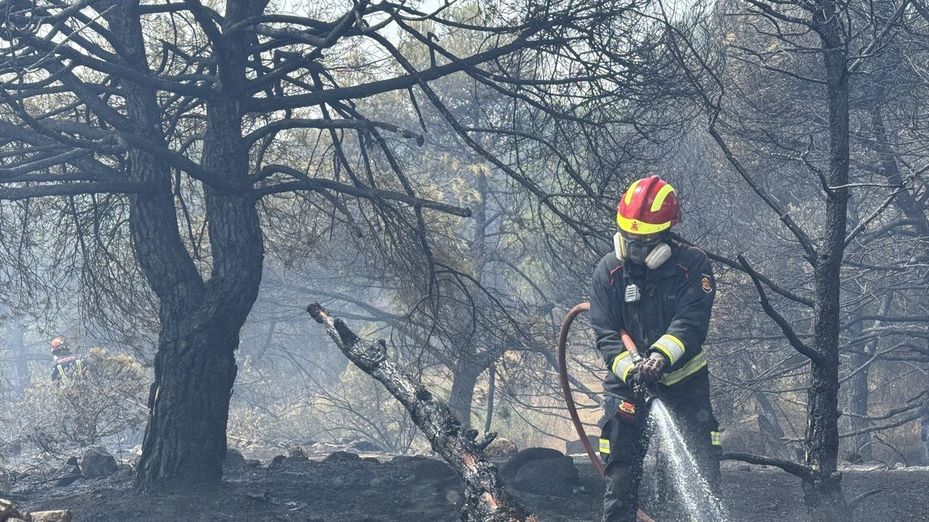 Europa arde y se asfixia: el calor extremo y los incendios forestales golpean a varios países