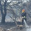 Europa arde y se asfixia: el calor extremo y los incendios forestales golpean a varios países