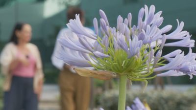 Madrid mejora tu vida 16.08.2025