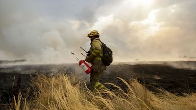 Asociaciones Vecinales de Madrid critican "recortes" y "privatización" en prevención de incendios