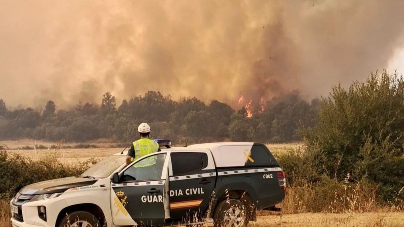 Detienen a un hombre por provocar un incendio que arrasó 3.000 hectáreas en Zamora