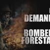 Bomberos forestales: Largos turnos, gran carga de trabajo y bajo salario