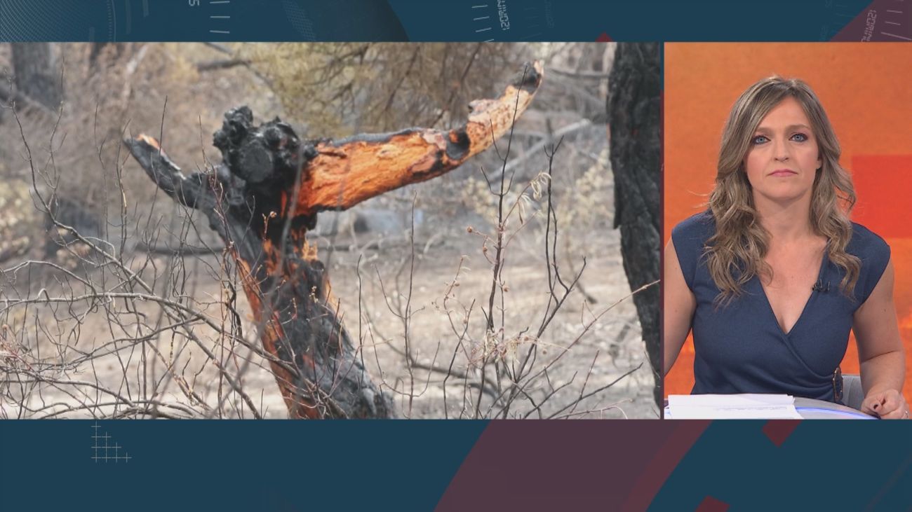 120 minutos 14.08.2025 (parte 1)