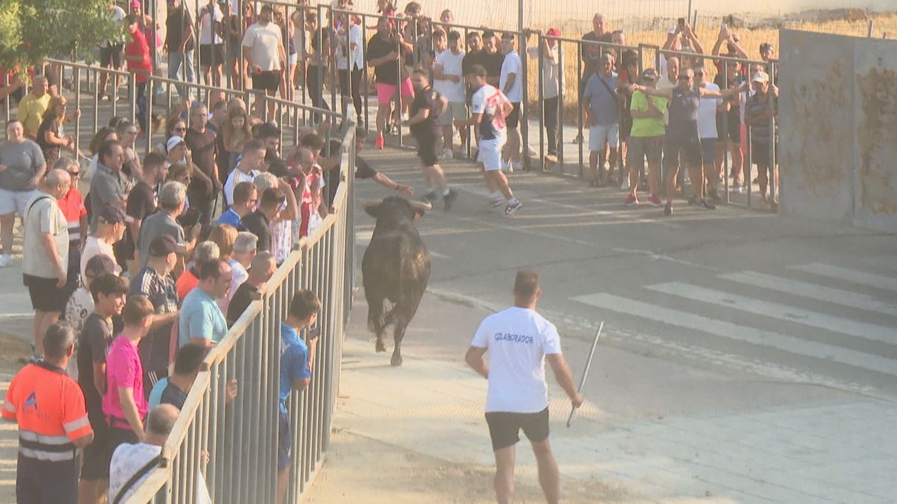 Un herido en el primero de los encierros de Pinto, al que han asistido casi 3.000 personas