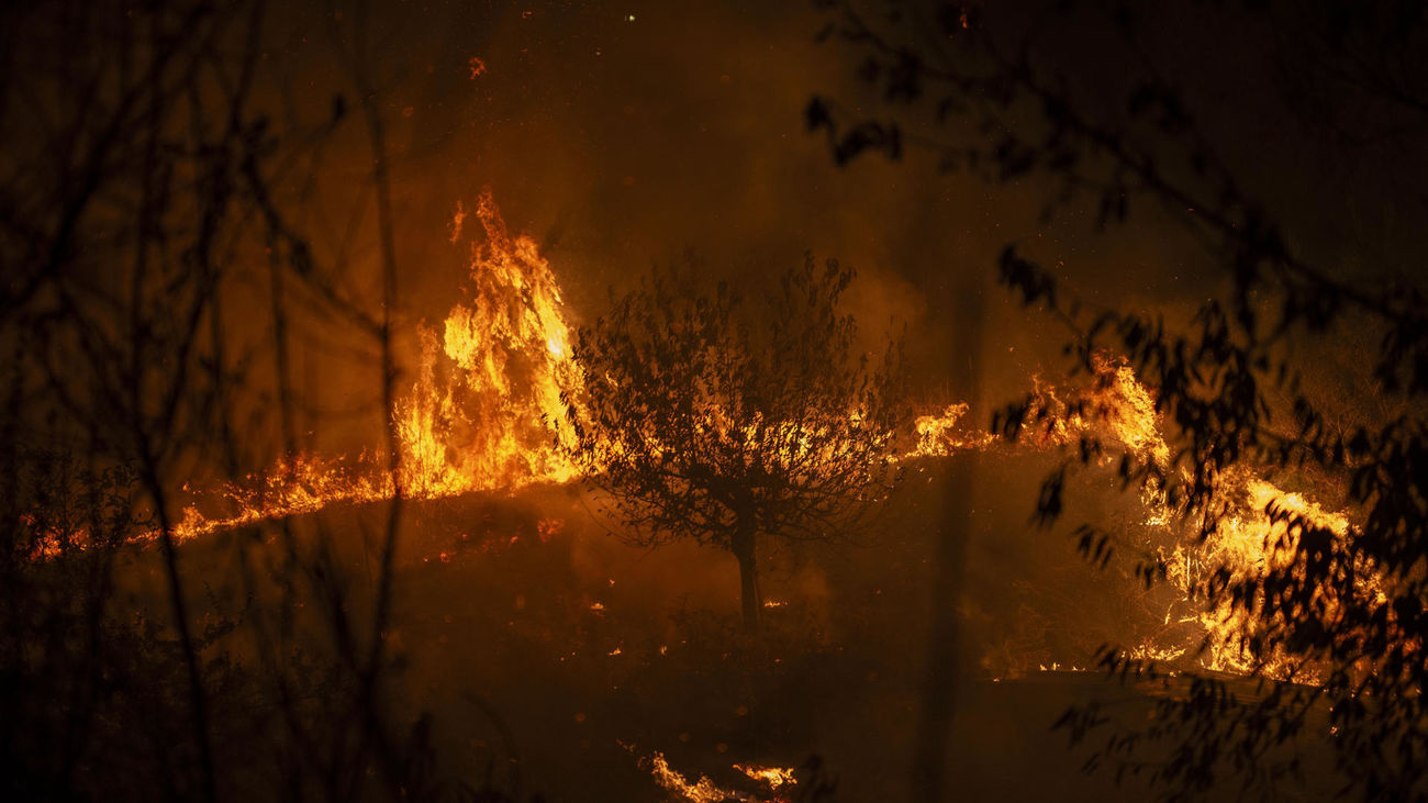 Incendio forestal en A Rúa (Ourense)