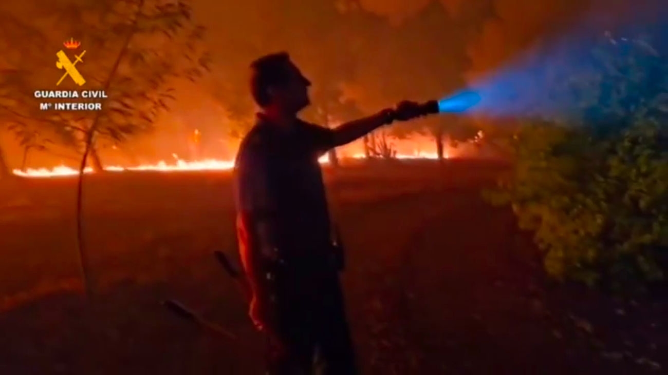 Las llamas avanzan sin control hacia la ciudad de Plasencia por el incendio de la Jarilla