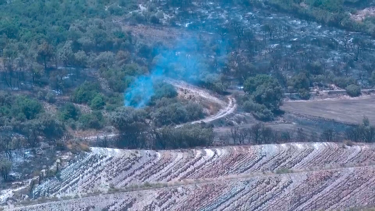 La Comunidad de Madrid, en riesgo extremo de incendios forestales, pide  extremar la precaución