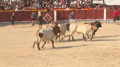 Chinchón celebra sus fiestas de agosto con un multitudinario encierro
