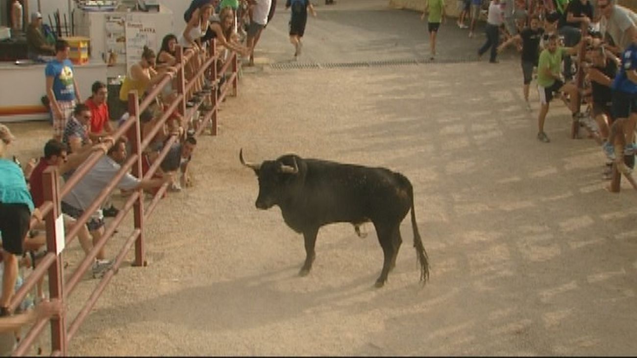 Perales de Tajuña celebra el conocido como ‘toro del aguardiente’