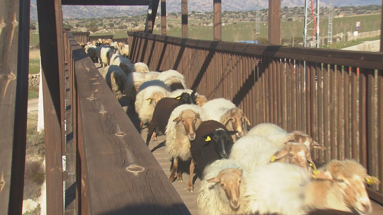Conocemos al dueño de una finca de Tres Cantos arrasada por el incendio