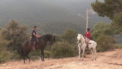 Hacemos la ruta del Pinar de Cercedilla a caballo