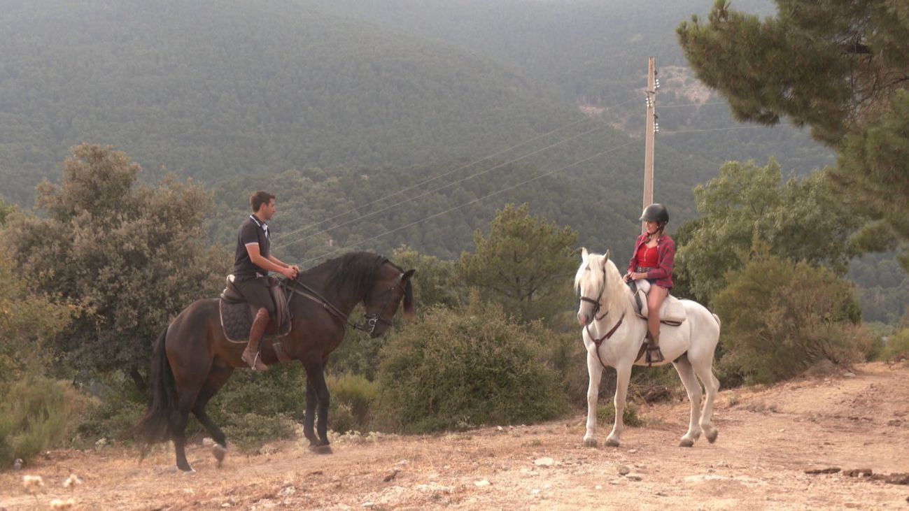 Hacemos la ruta del Pinar de Cercedilla a caballo