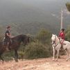 Hacemos la ruta del Pinar de Cercedilla a caballo