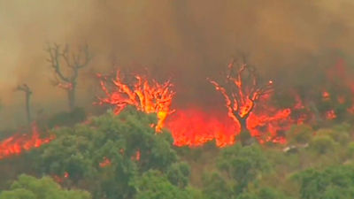 El incendio de Jarilla está "completamente desbocado" y puede entrar en Castilla y León