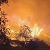 Asturias lucha por salvar su patrimonio natural con 12 incendios forestales, seis de estos activos