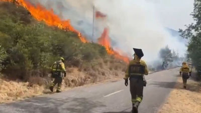 Otro desastre natural en Castilla y León: El  fuego entra en los Picos de Europa  tras arrasar el Bierzo