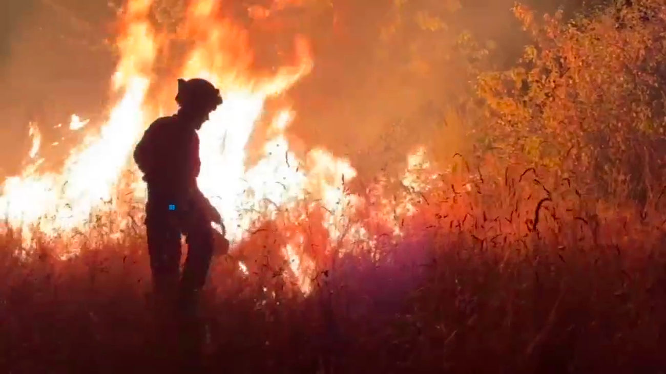 El fuego  devora Castilla y León: 27 fuegos activos, 10 de riesgo extremo