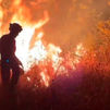 El fuego  devora Castilla y León: 27 fuegos activos, 10 de riesgo extremo