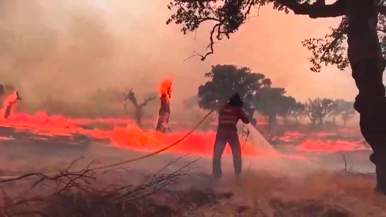 Extremadura, el "megaincendio" en Jarilla sigue fuera de control
