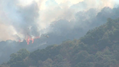 Bomberos de Alemania y Francia se unen a las tareas de extinción en Extremadura