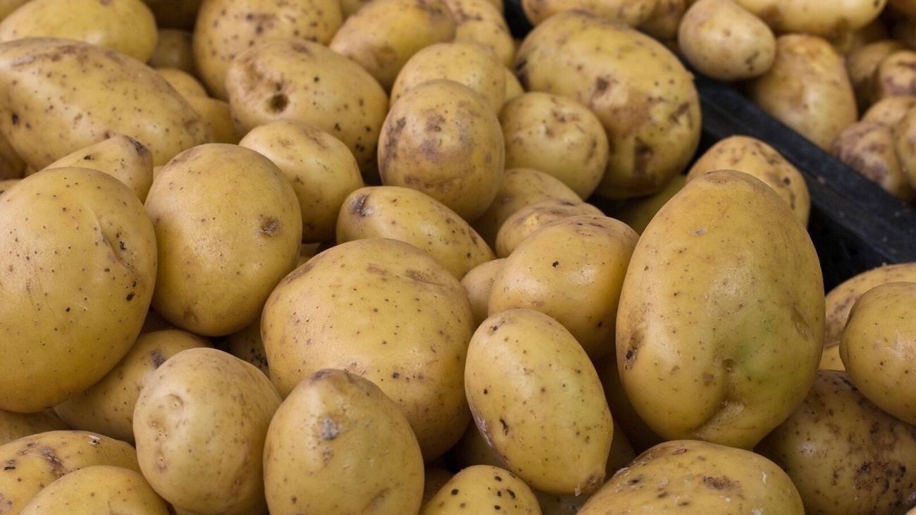 Las patatas, reinas del certamen gastronómico 'Morata Chef'