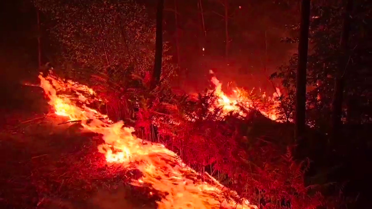 El fuego calcina ya en Orense cerca de 70.000 hectáreas, con 7 incendios activos