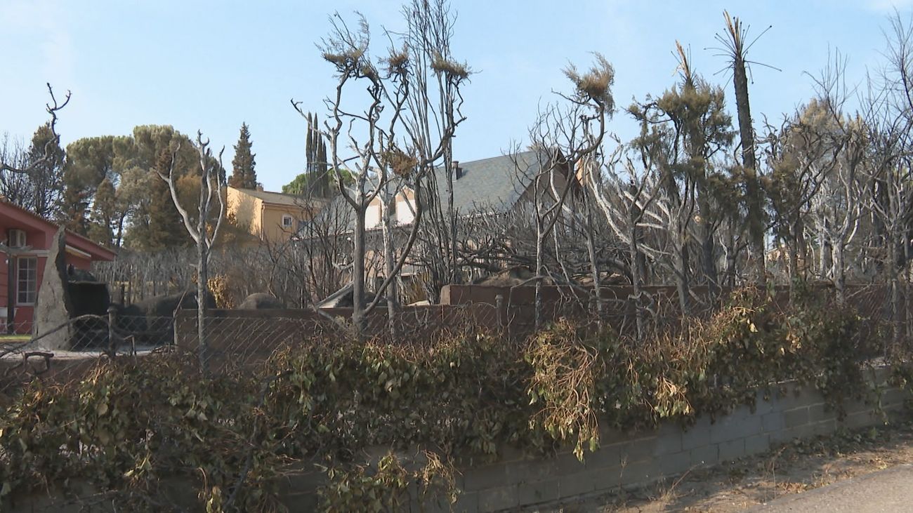 Tres Cantos revive su incendio tras declararse otro en el vecino Colmenar Viejo