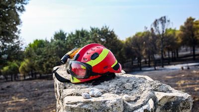 El Gobierno solo ha gastado el 4% de los fondos europeos para gestión forestal