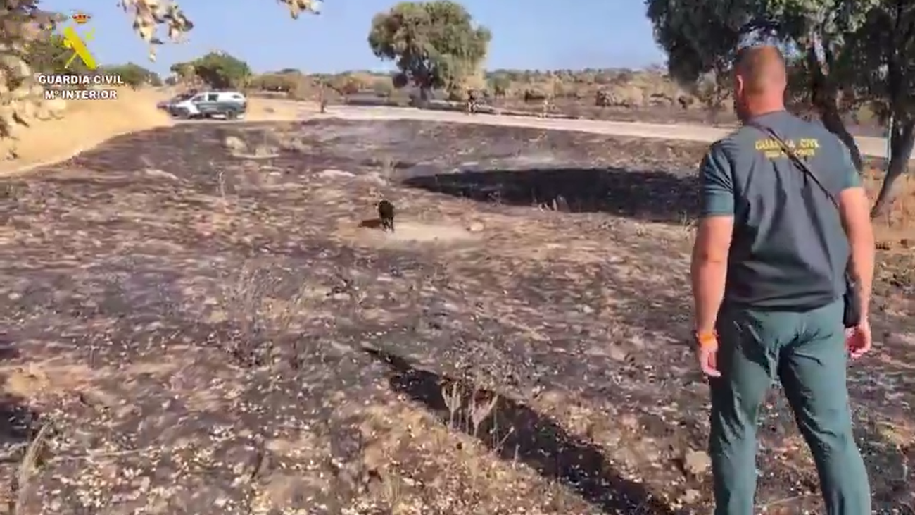 Detenido el responsable de provocar un incendio forestal en Colmenar Viejo en julio