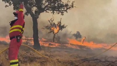 La Junta de Extremadura reconoce la "solidaridad de las comunidades autónomas" en los incendios