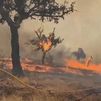 La Junta de Extremadura reconoce la "solidaridad de las comunidades autónomas" en los incendios