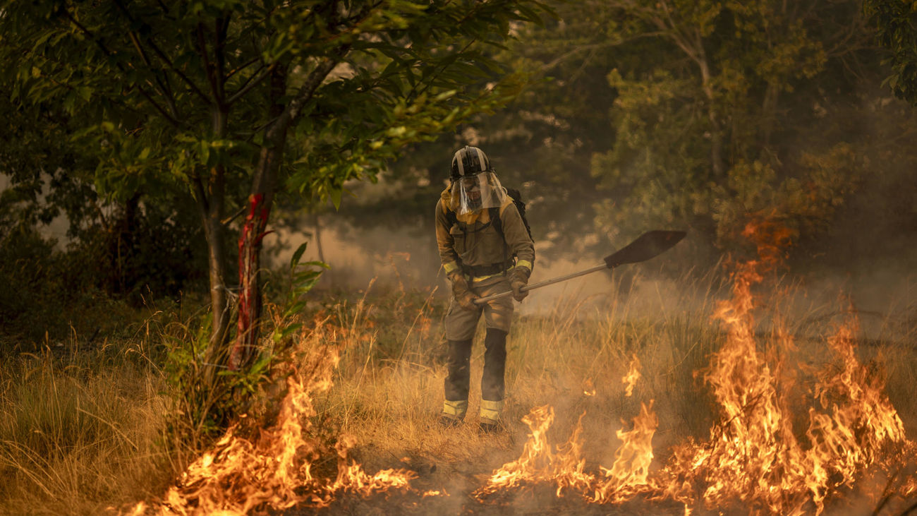 Las causas de tantos incendios forestales... más allá del cambio climático