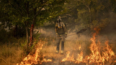 Las causas de tantos incendios forestales... más allá del cambio climático
