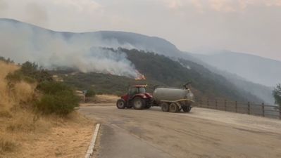¿Qué intereses están detrás de los incendios que son provocados?