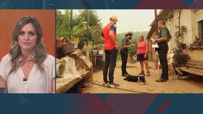 120 minutos 20.08.2025 (parte 2)