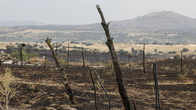 El Canal de Isabel II aprueba bonificaciones para los afectados por los incendios forestales