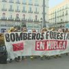 La Comunidad pide al Gobierno que las mejoras laborales de las BRIF se apliquen a las Brigadas Forestales de Madrid