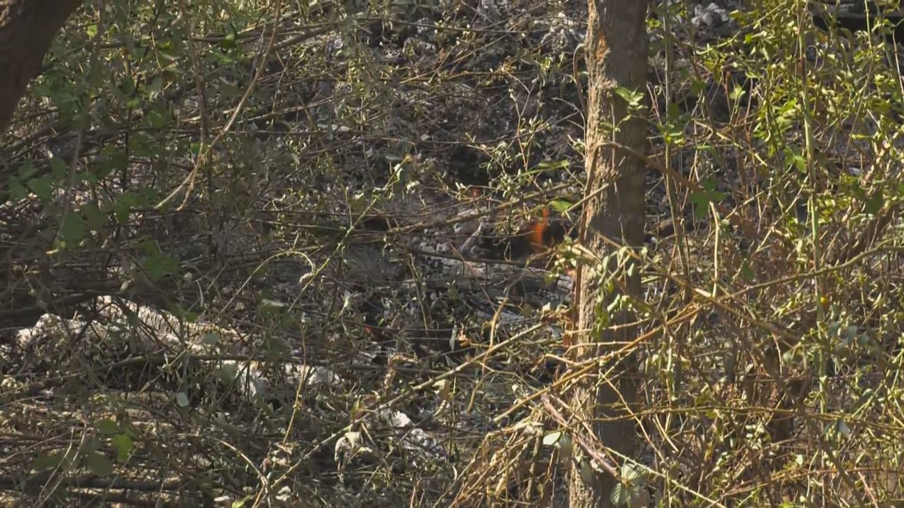El fuego vuelve a Madrid por un nuevo incendio de pasto en Aldea del Fresno y Méntrida