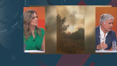 Francisco Castañares, experto forestal: "Los incendios de ahora no se pueden apagar pero sí evitar"