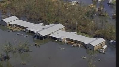 20 años del Katrina, el huracán más letal de la historia en EE.UU