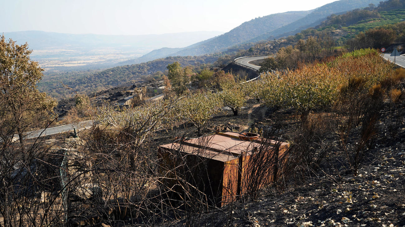 Imágenes de pueblo de la Jarilla tras el devastador incendio que arrasó 17.300 hectáreas