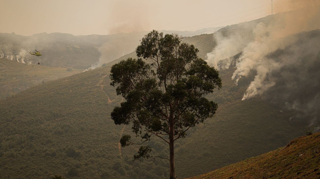 Tres incendios activos siguen arrasando Galicia, todos ellos en la provincia de Orense