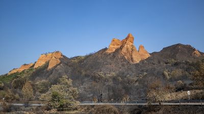 Ciencia para recuperar las zonas arrasadas por el fuego en España