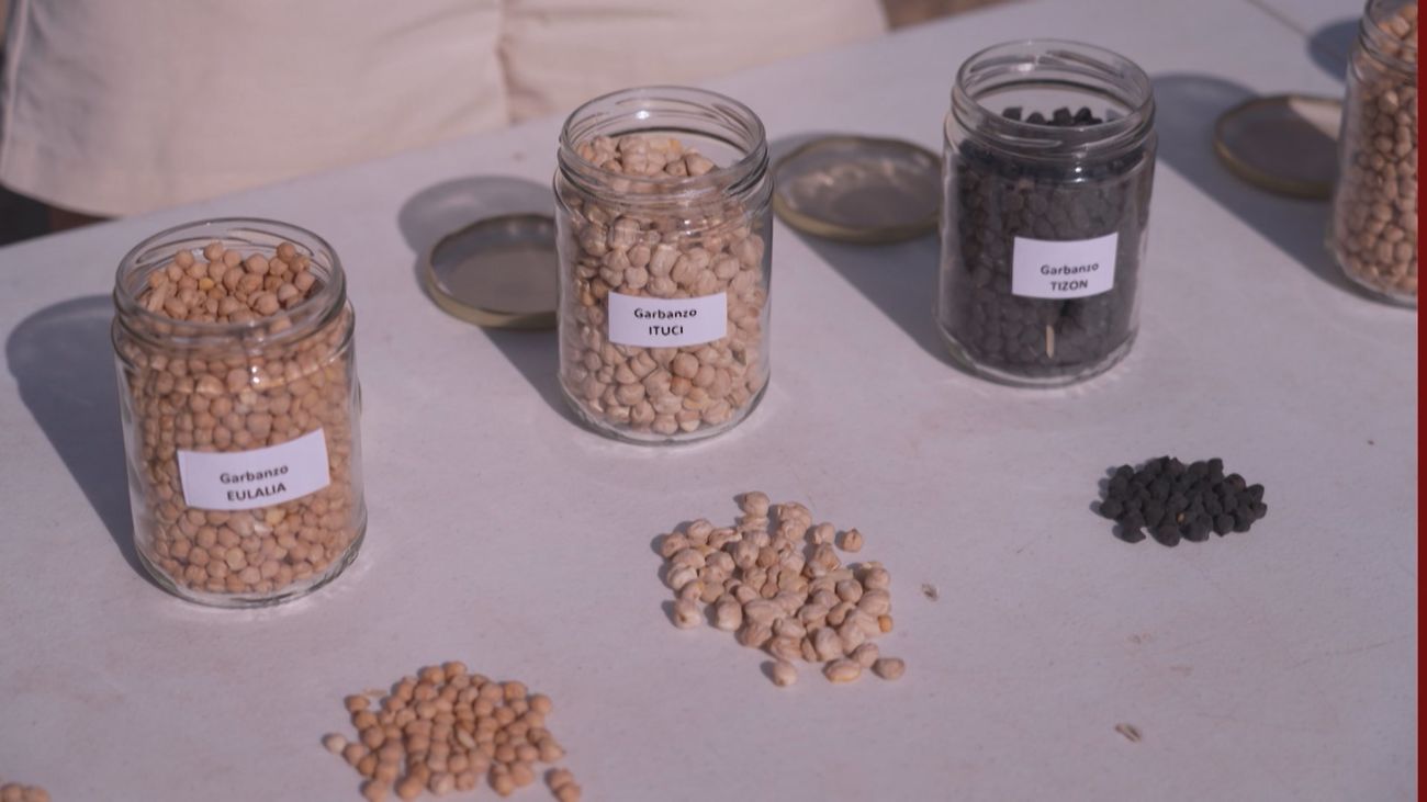 Aquí se hace 01.09.2025