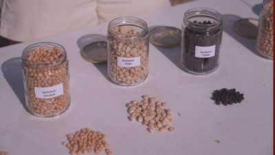 Aquí se hace 01.09.2025