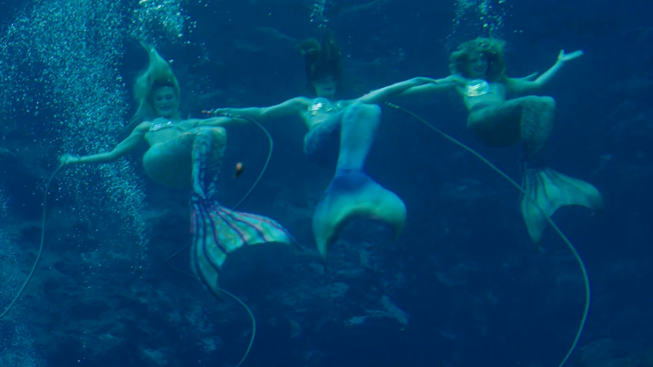 Las sirenas cobran vida en Tampa