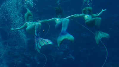 Las sirenas cobran vida en Tampa