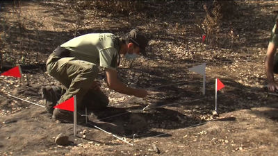 Investigado un vecino de Mejorada del Campo por el incendio de Burguillos del Cerro en Badajoz