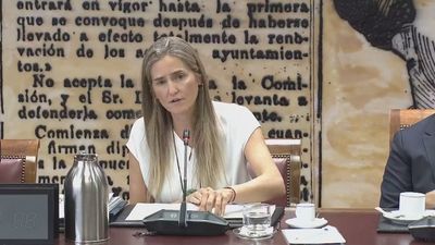 Aagesen defiende la actuación en los incendios y pide un Pacto de Estado para luchar contra el cambio climático